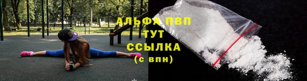 шишки Артём