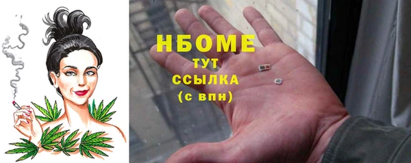 прущие грибы Нефтегорск
