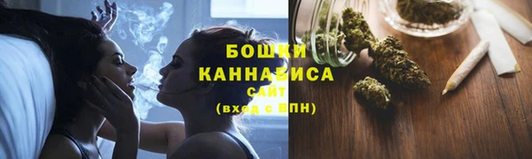 прущие грибы Нефтегорск