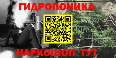 сатива Гагарин
