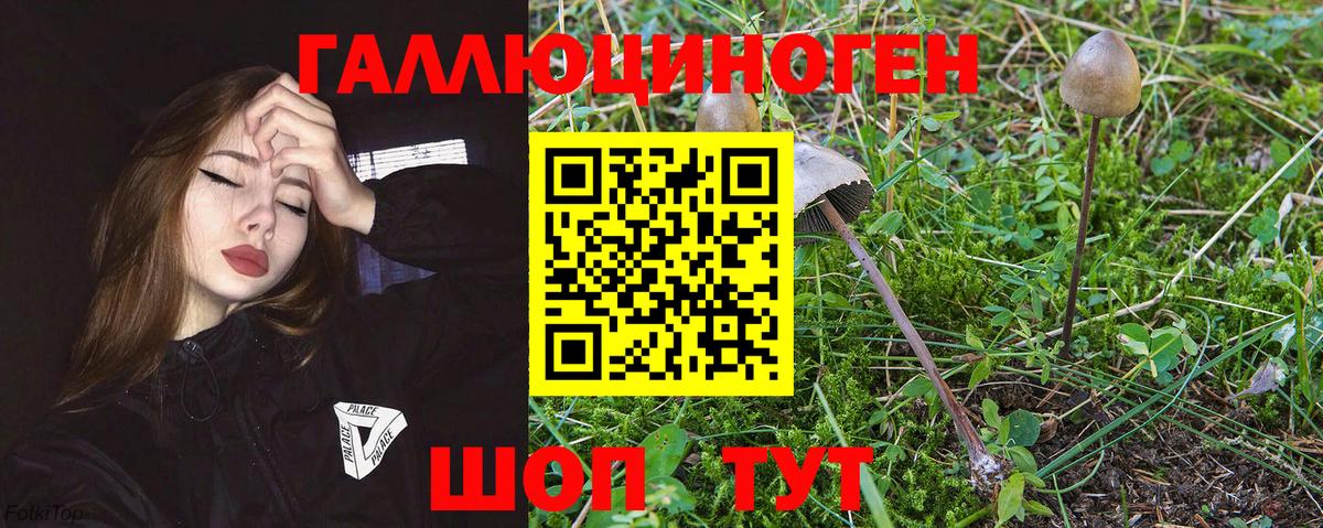 Псилоцибиновые грибы мухоморы  купить наркоту  Анжеро-Судженск 