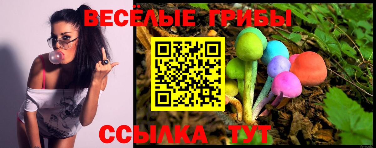 Псилоцибиновые грибы Magic Shrooms  Вход с VPN  Галлюциногенные грибы Cubensis  Анжеро-Судженск 