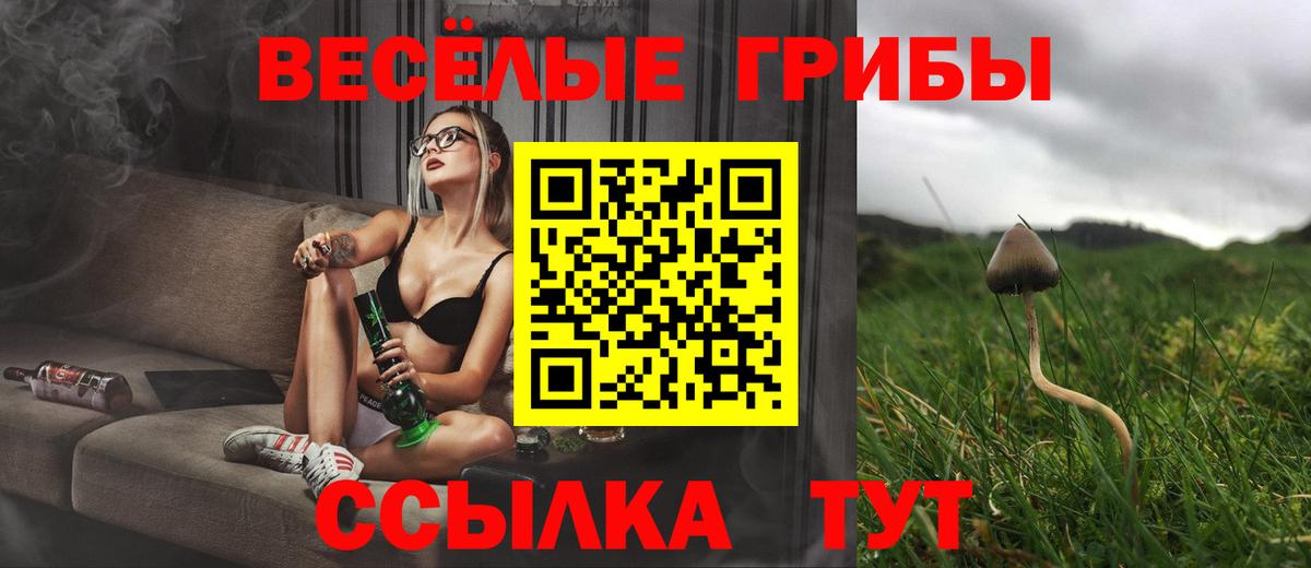 Галлюциногенные грибы Cubensis Анжеро-Судженск