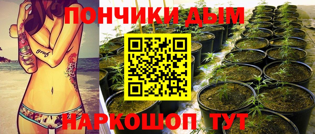 МАРИХУАНА VHQ Анжеро-Судженск